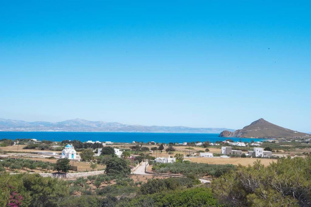 Sunny Studio W.Breathtaking Naxos Views In Isterni Lägenhet Isterni  Exteriör bild